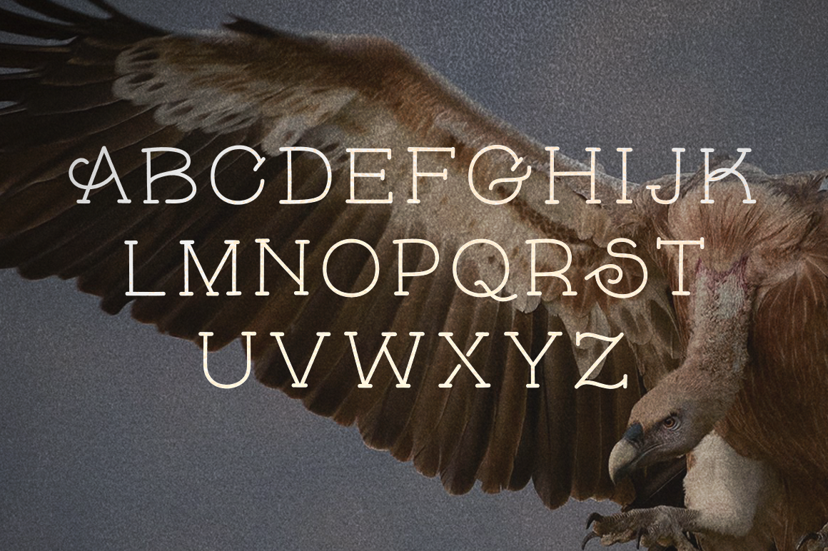 Example font Skybird #8