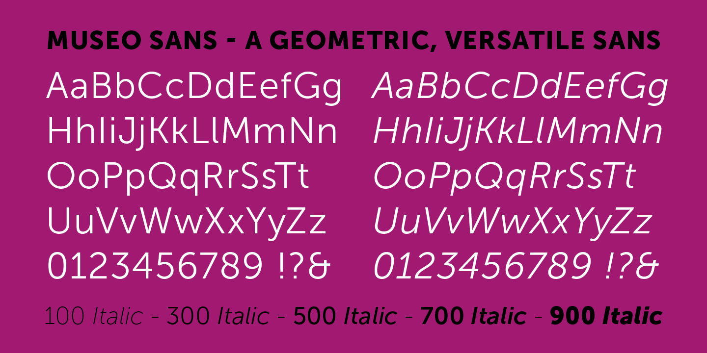 Example font Museo Sans #2