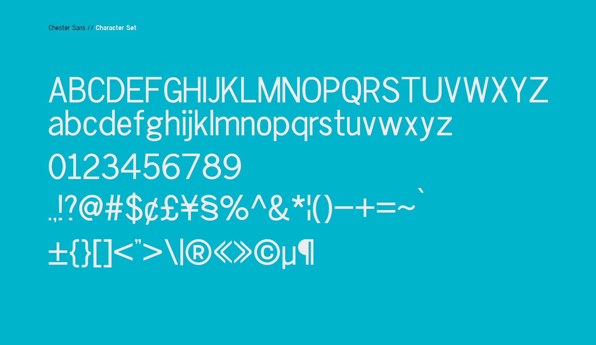 Example font Chester Sans #3