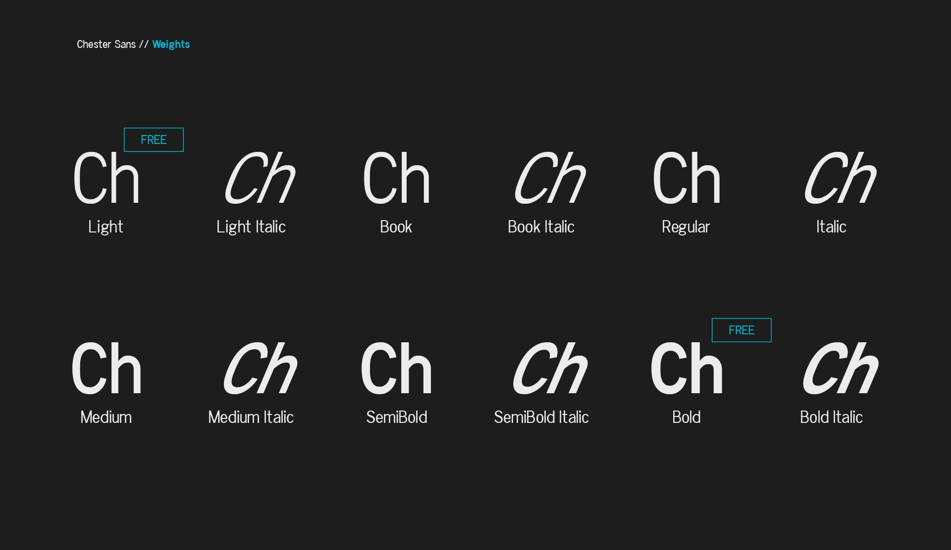 Example font Chester Sans #5