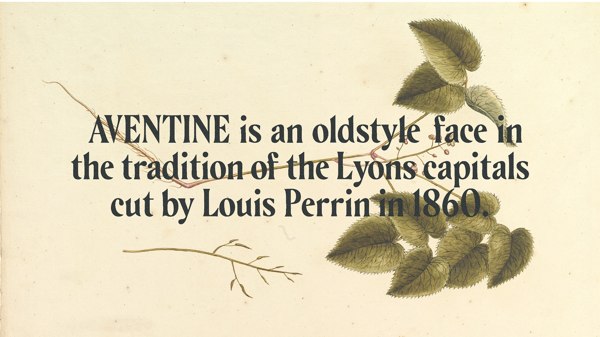 Example font Aventine #3