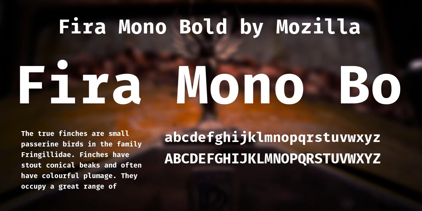 Example font Fira Mono #2