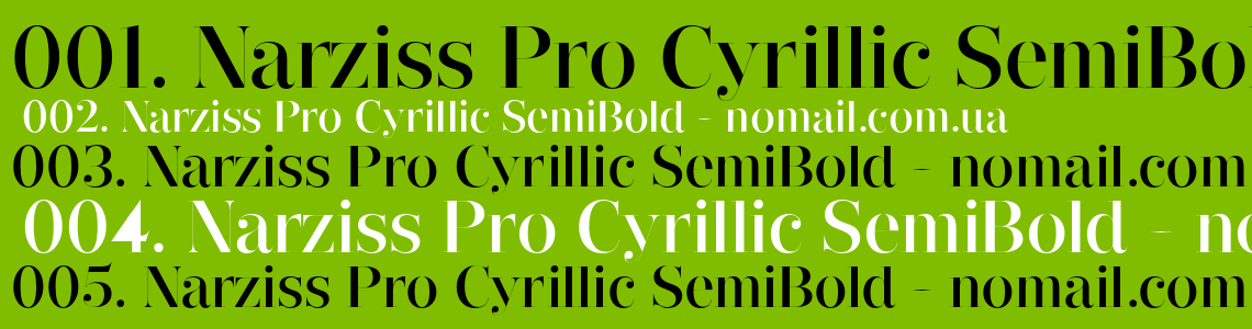 Example font Narziss Pro #2