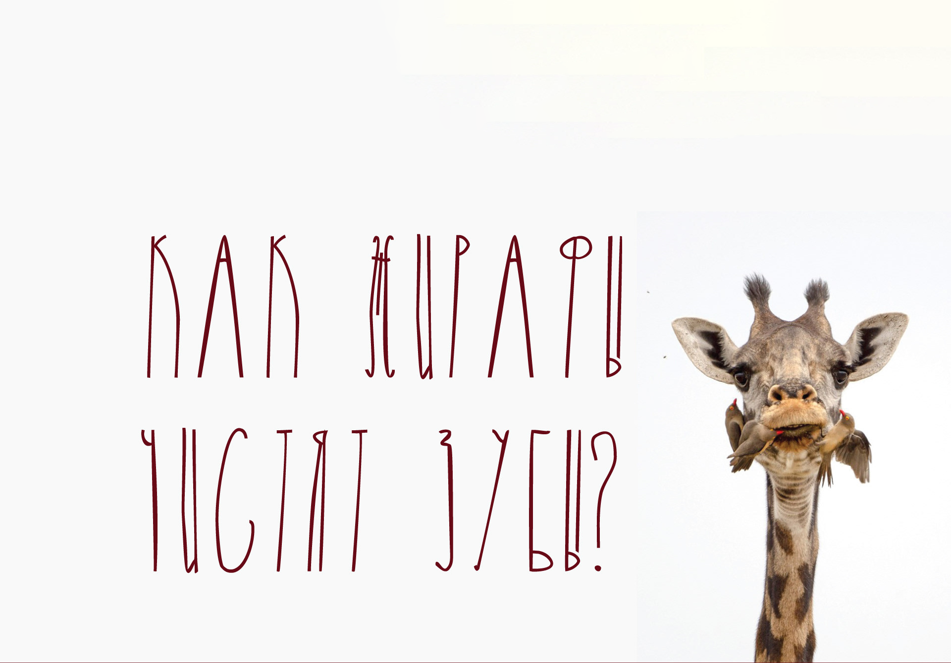 Example font Giraffe #4