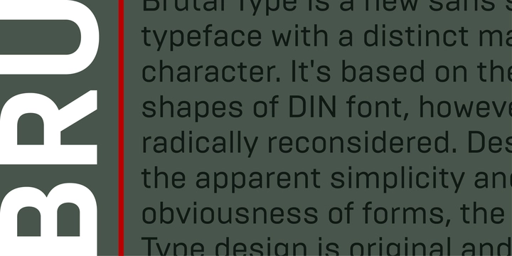 Example font Brutal Type #4