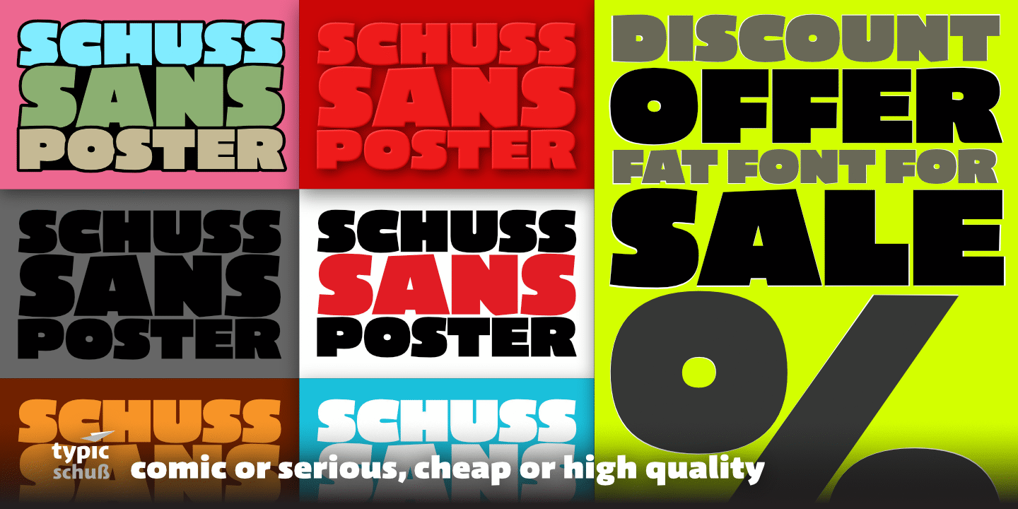 Example font Schuss Sans CG Poster #5