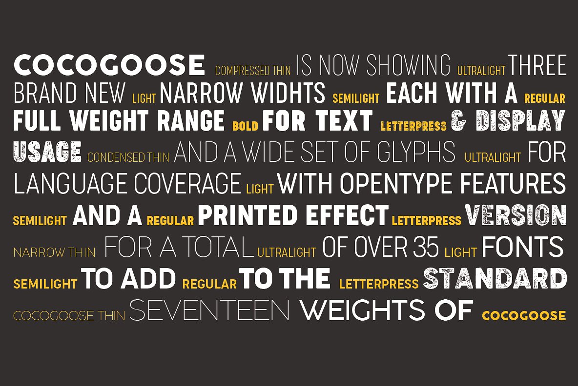 Example font Cocogoose #9