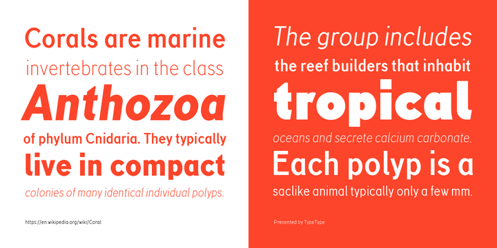 Example font TT Corals #3