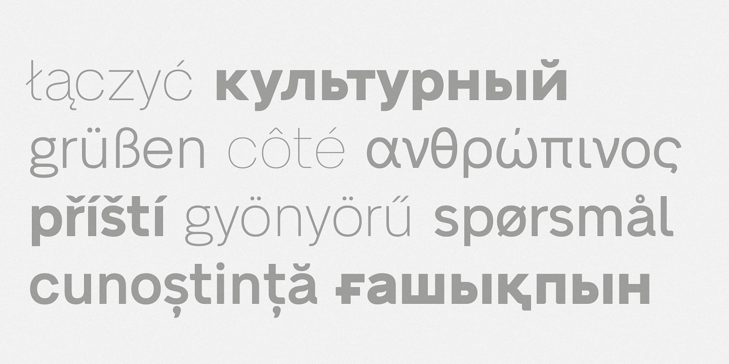 Example font Neue Alte Grotesk #8