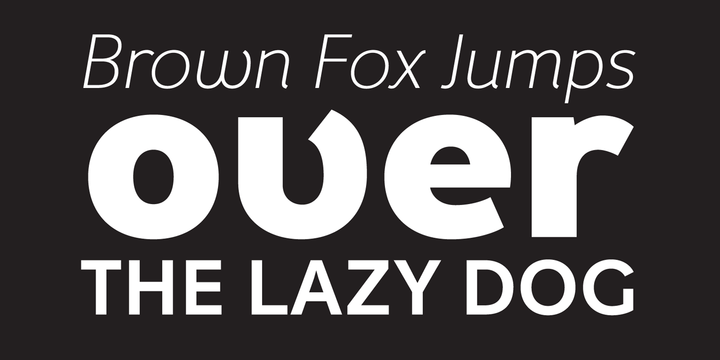 Example font Fox Grotesque Pro #5