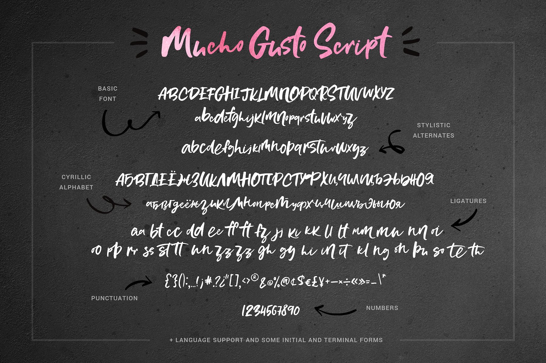 Example font MuchoGusto #5