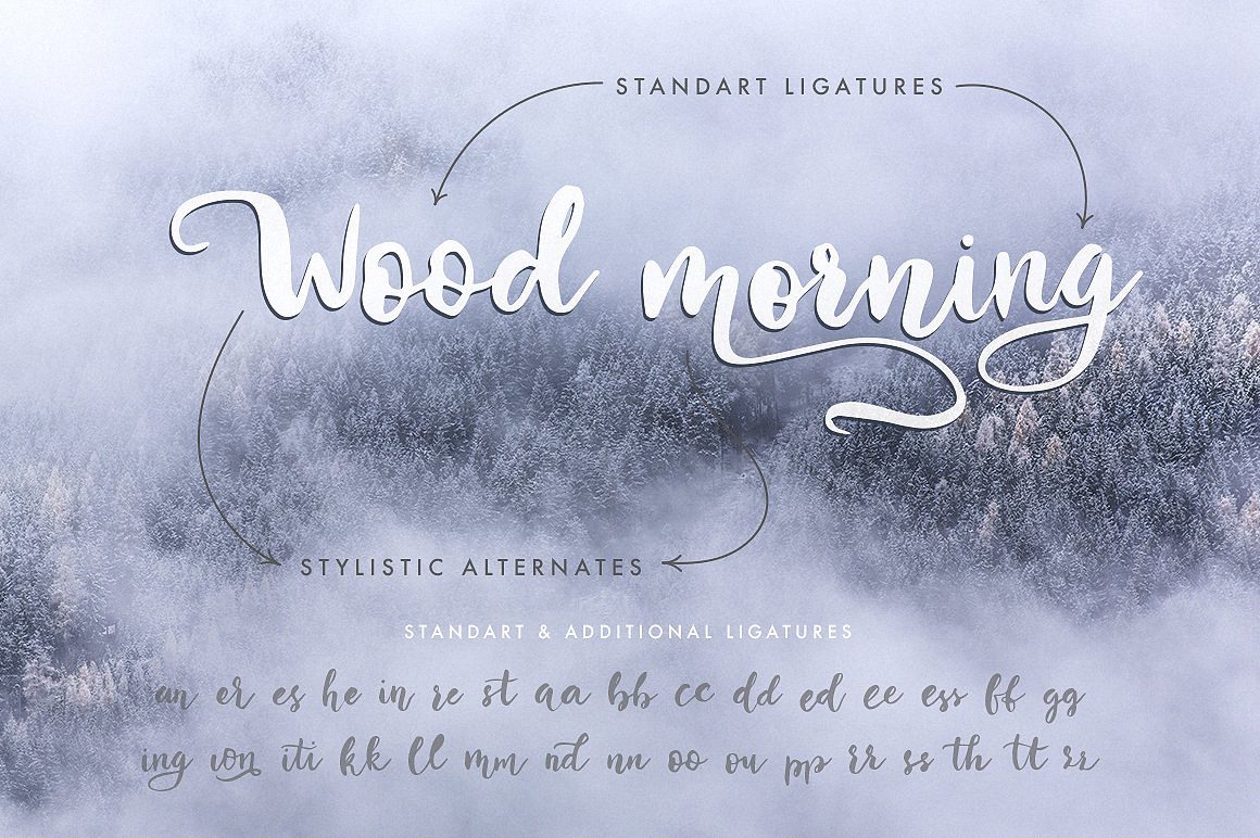 Example font Winter #4