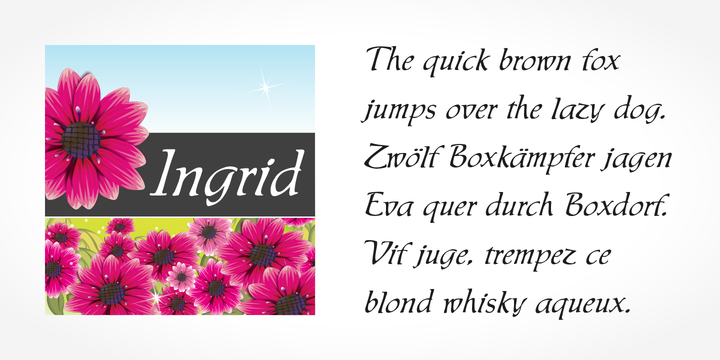 Example font Ingrid #3