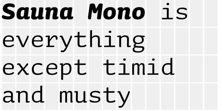 Example font Sauna Mono Pro #2