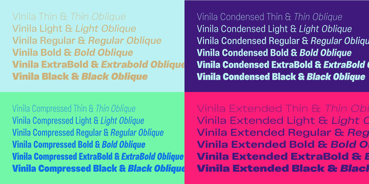 Example font Vinila Variable #4
