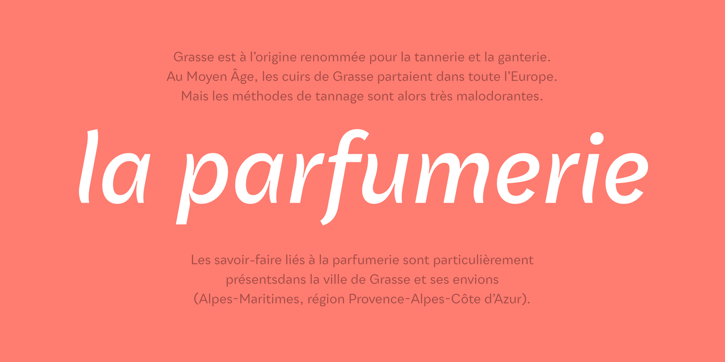 Example font Qualion Text #4