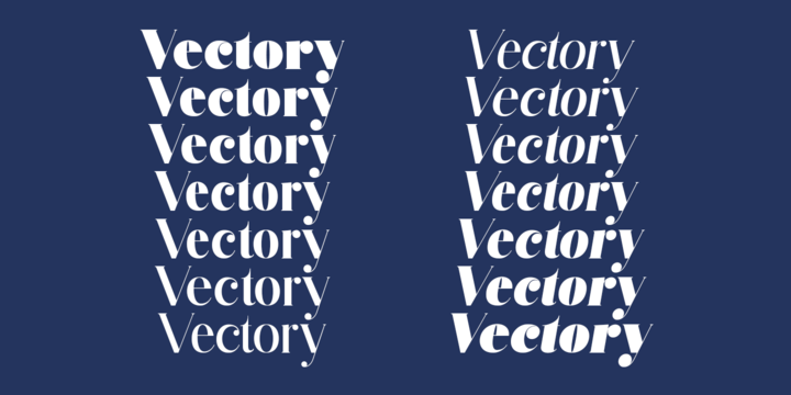 Example font Vectory #3