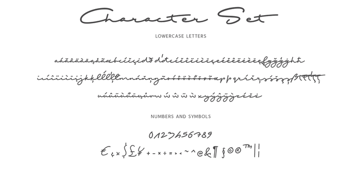 Example font Shopping Script #2