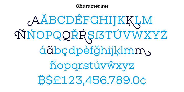 Example font Vicky #4