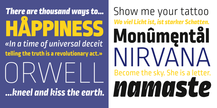 Example font Ropa Mix Pro #4
