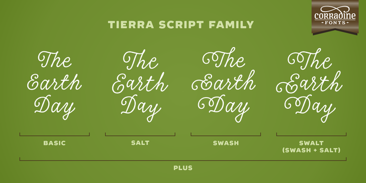 Example font Tierra Script #2