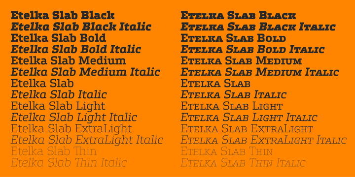 Example font Etelka Slab #2