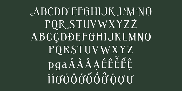 Example font Jungle #4