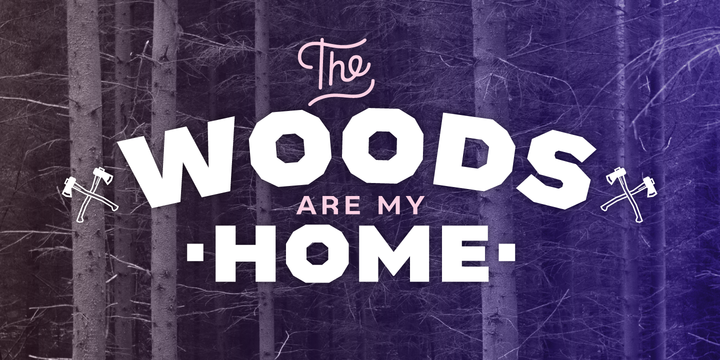 Example font Bowie #4