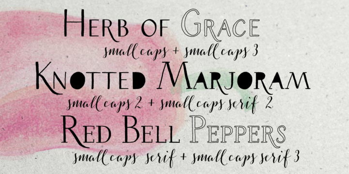 Example font Salt & Spices Pro #2