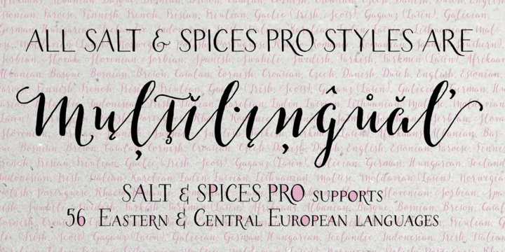 Example font Salt & Spices Pro #3
