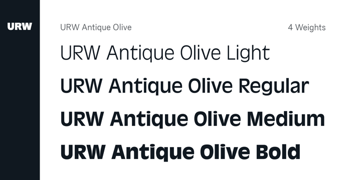 Example font Antique Olive #3