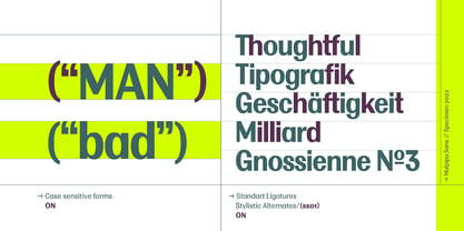Example font Multipa #3