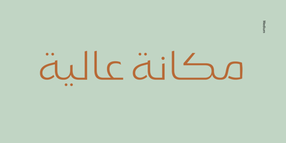 Example font Gamila Arabic W05 #2