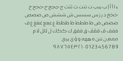 Example font Gamila Arabic W05 #5