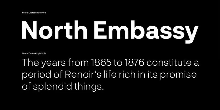Example font Neurial Grotesk #3