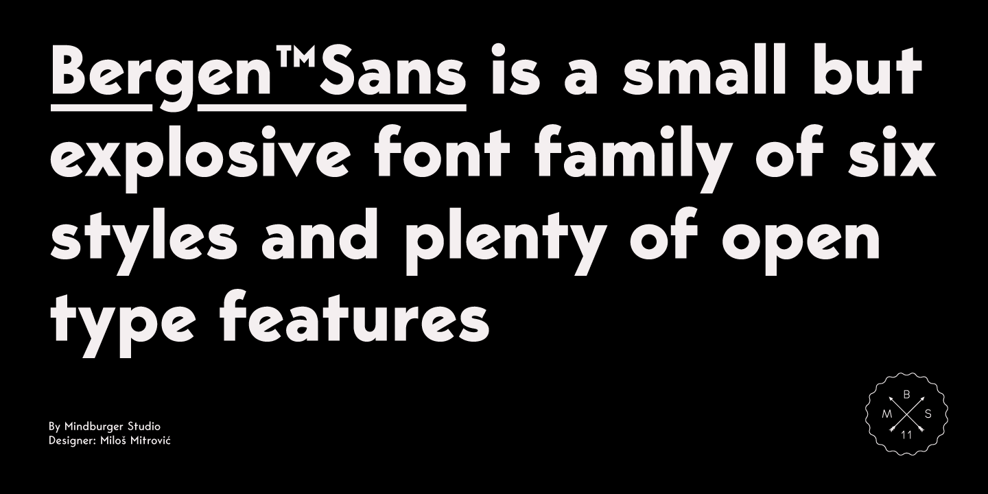 Example font Bergen Sans #1