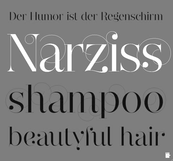 Example font Narziss Pro #1
