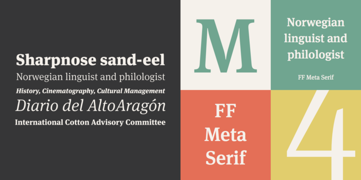 Example font Meta Serif Pro #1