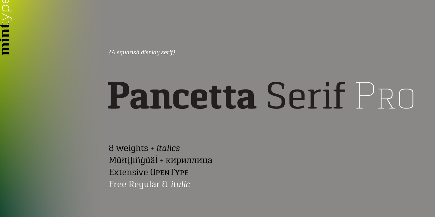 Example font Pancetta Serif Pro #1