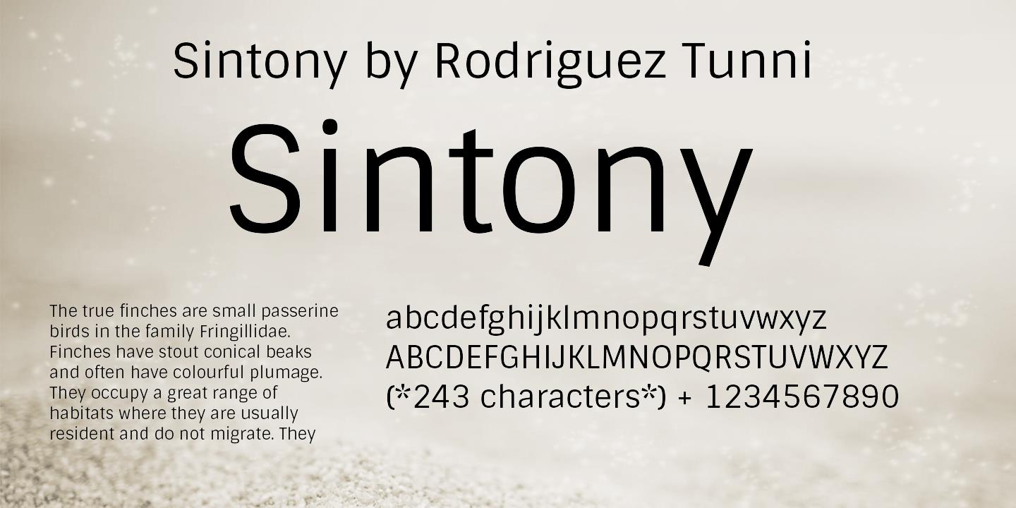 Sintony Font