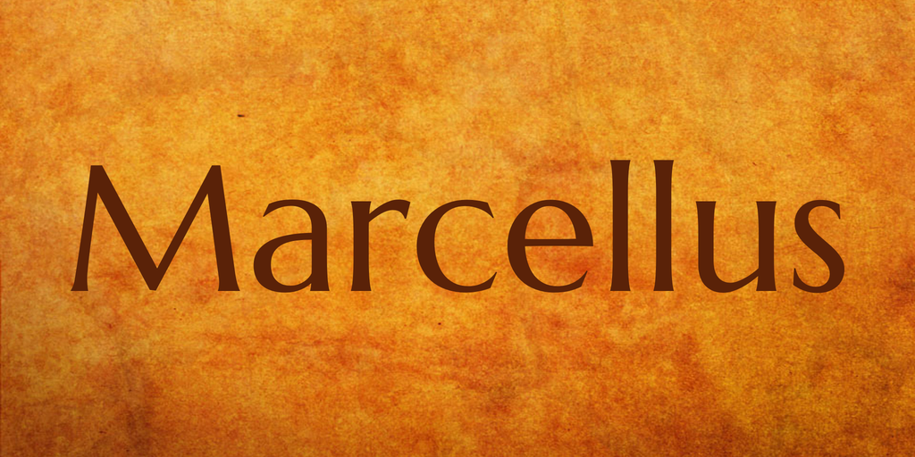 Example font Marcellus #1
