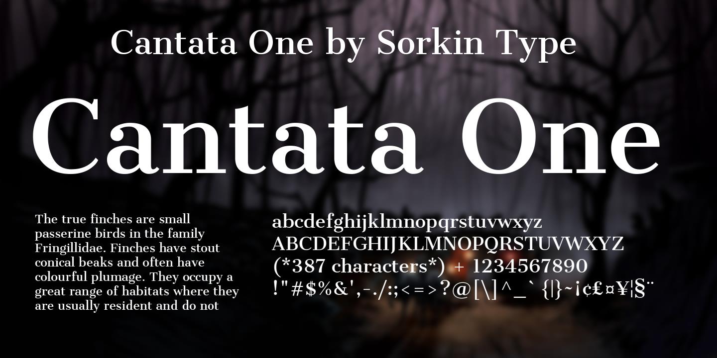 Example font Cantata One #1