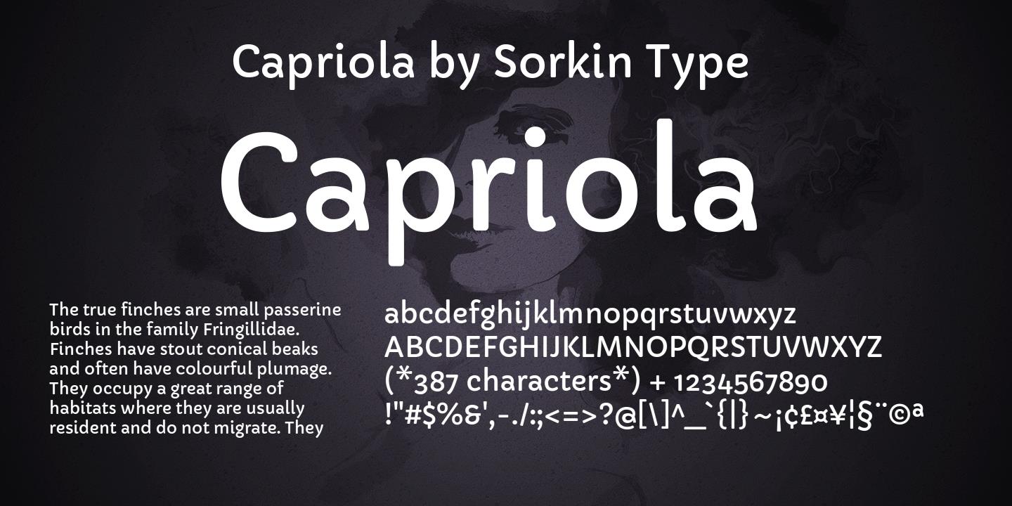 Example font Capriola #1
