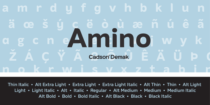 Amino Font
