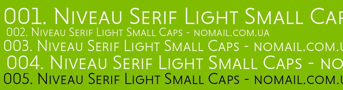 Example font Niveau Serif #1
