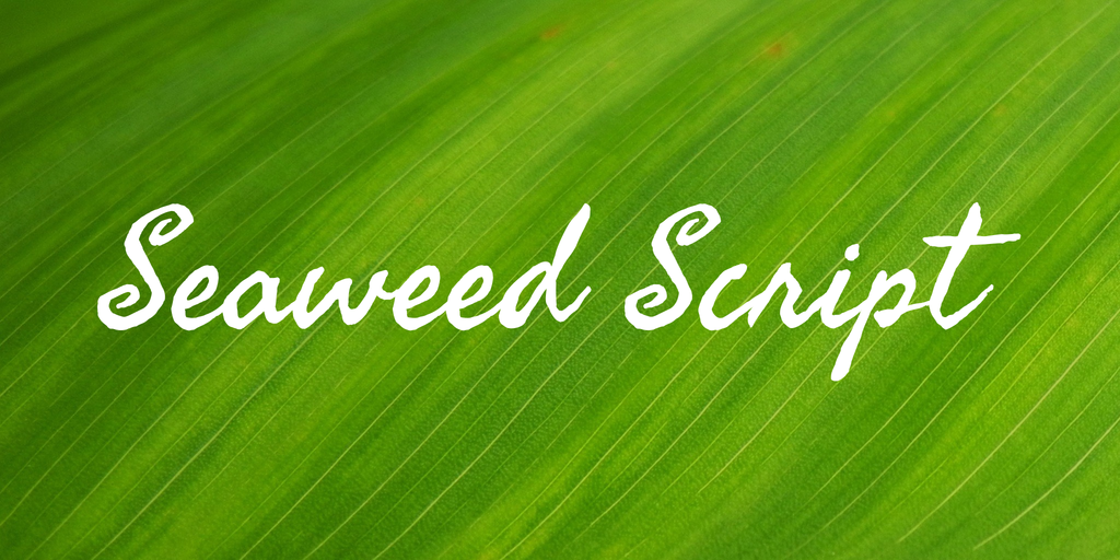 Example font Seaweed Script #1