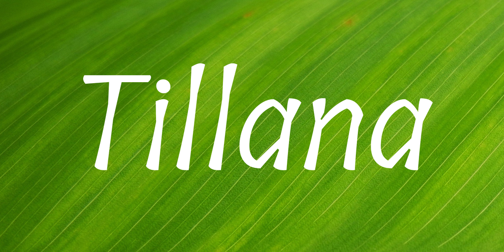 Example font Tillana #1