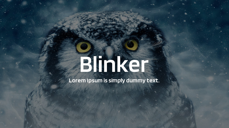 Example font Blinker #1