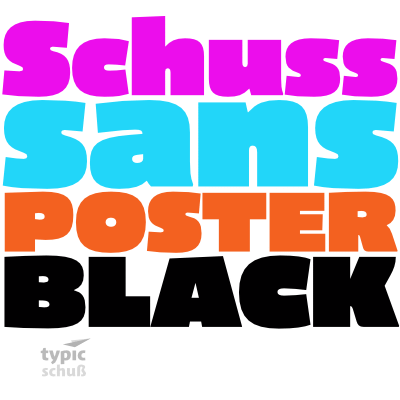 Example font Schuss Sans CG Poster #1