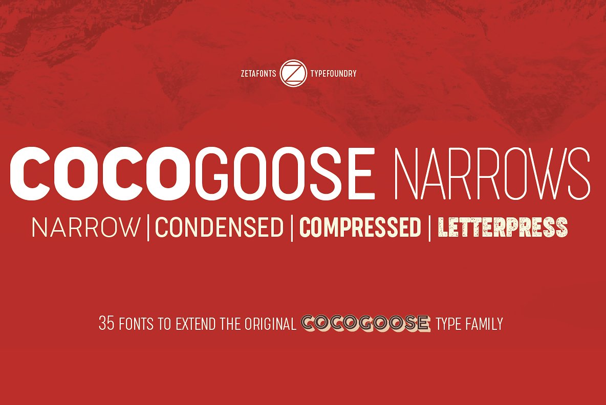 Example font Cocogoose #1